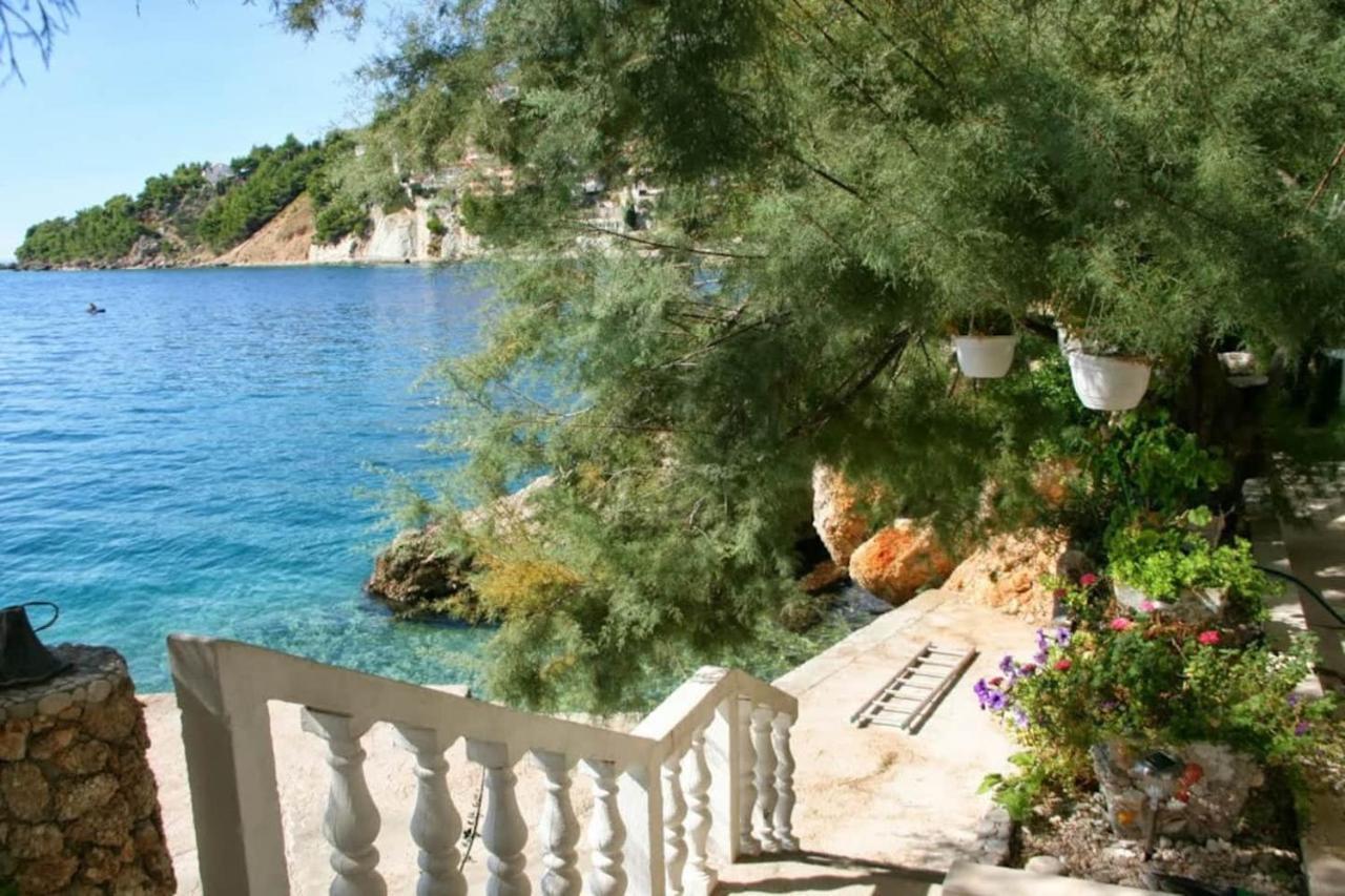 Ventula Διαμέρισμα Mimice Εξωτερικό φωτογραφία