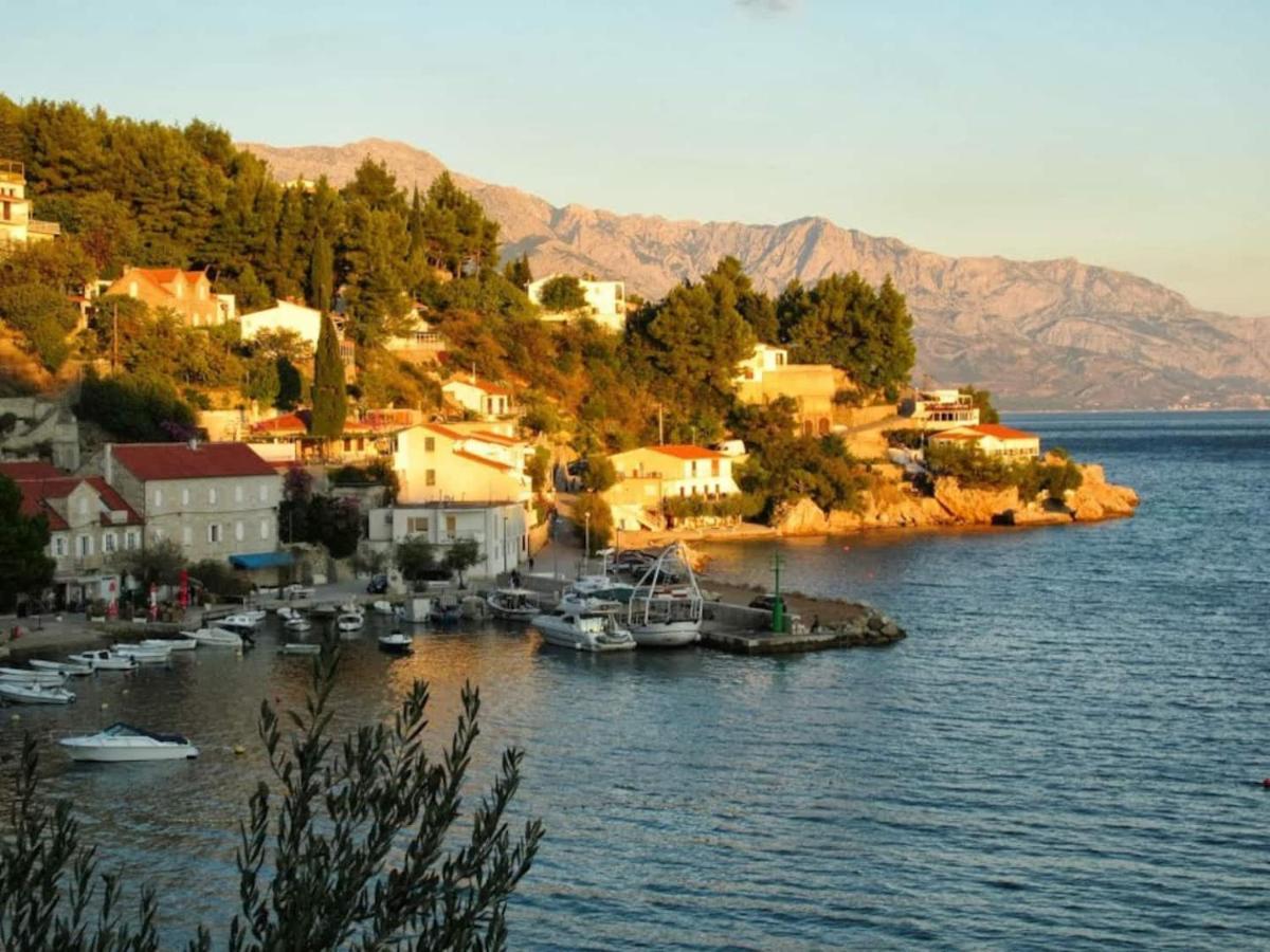 Ventula Διαμέρισμα Mimice Εξωτερικό φωτογραφία